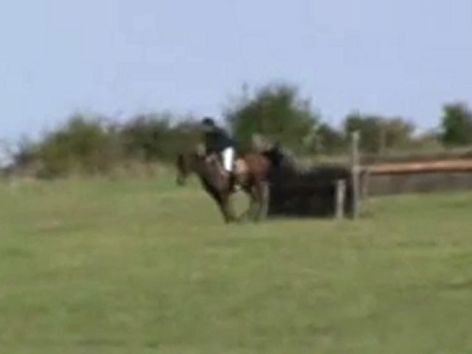 Mettray cross Officier 3