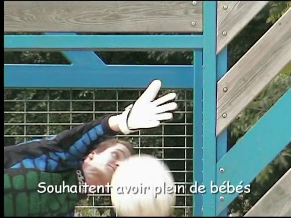 Parodie du générique Olive et tom pour le mariage de Joe et Christelle