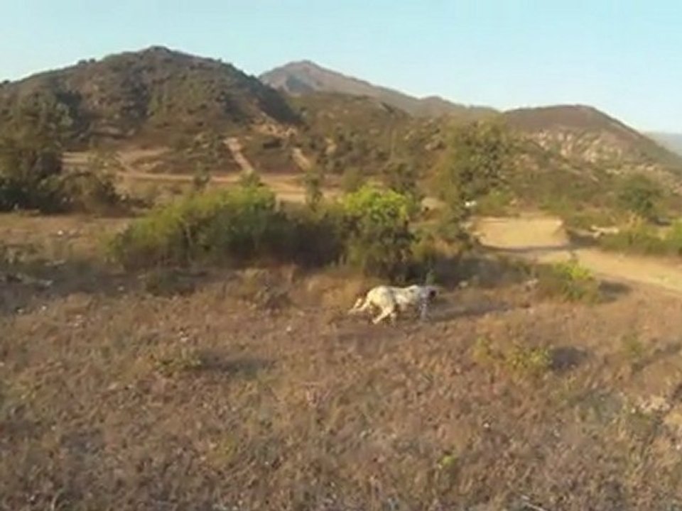 ETA / centre canin de la foret du melu