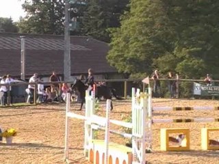 SympaticaConches2011