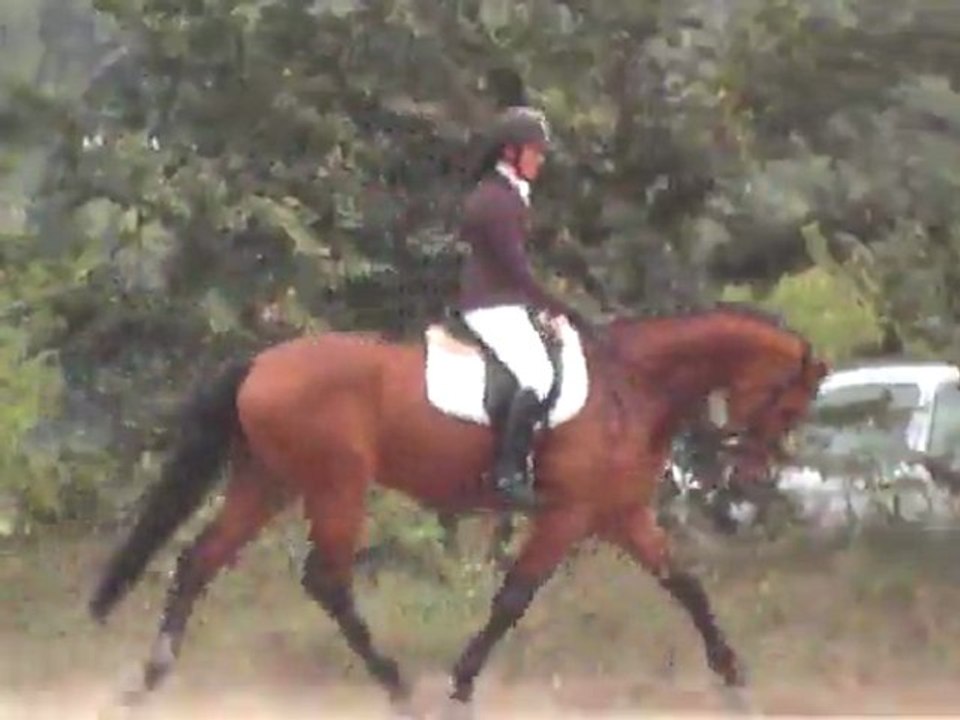 Axion dressage