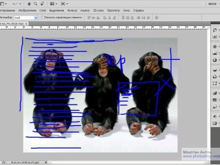 3-Основные форматы файлов