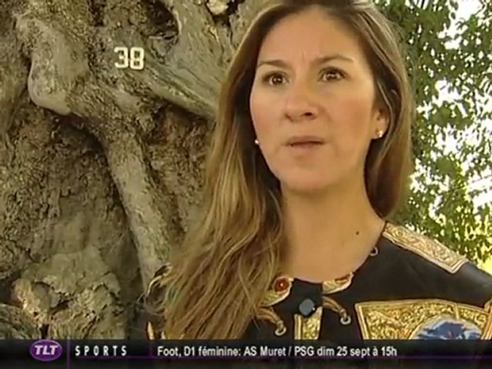 44 Oliviers Millénaires en vente aux enchères (Lasserre)