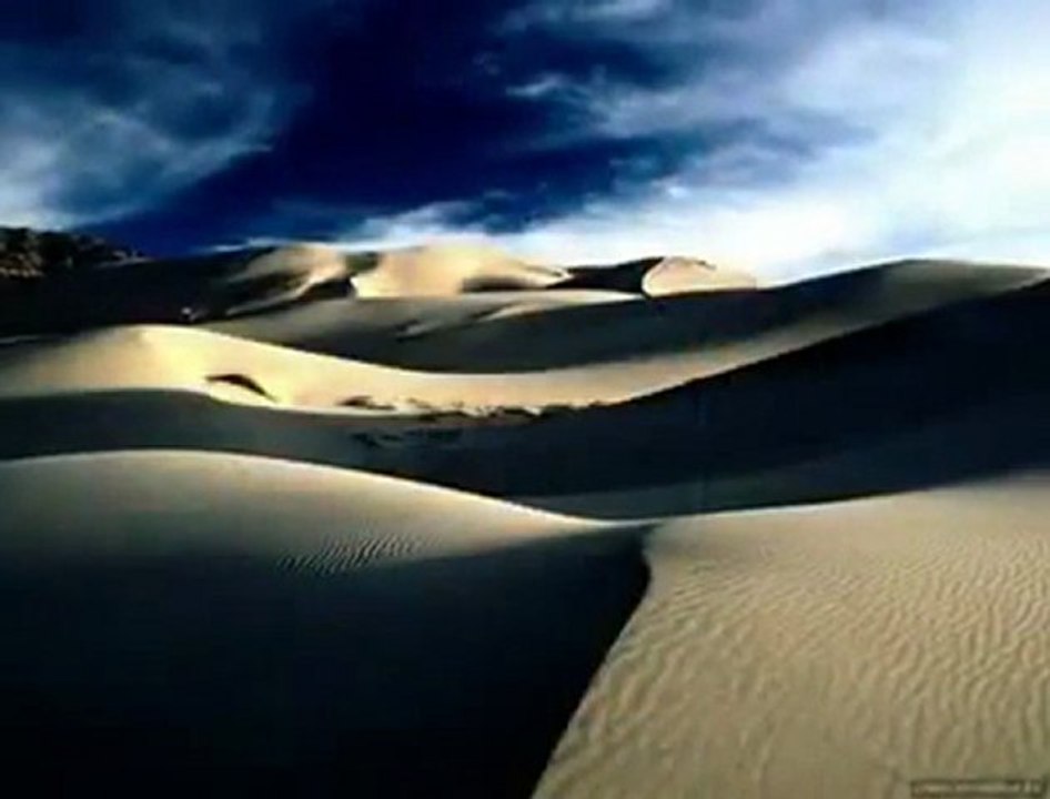 FARİD FARJAD - LEYLÂ