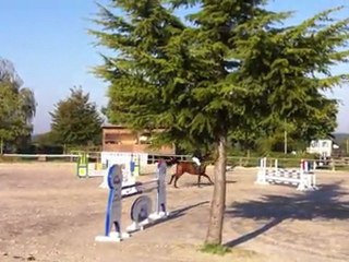 Prépa 95 - Canteleu - Damien & Curioso