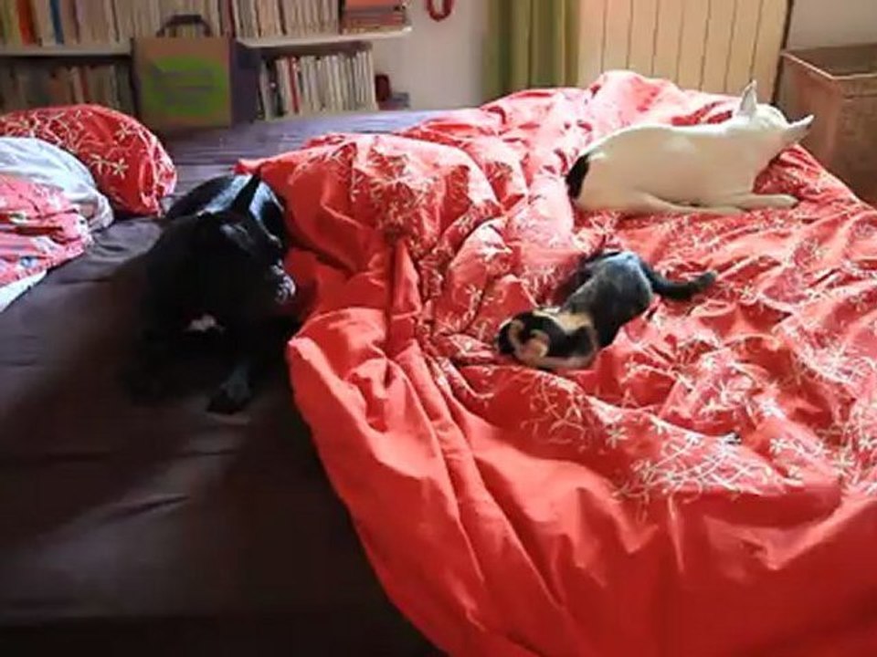 olga et gilda 26-09-2011