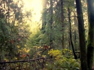 Corey Payette - Acting Reel