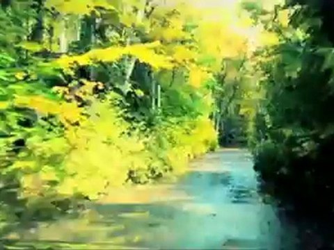 DiRT 3 Developer Diary Video Codemasters - GTChannel