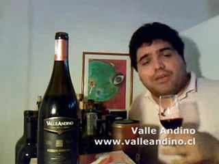 Valle Andino Syrah Reserva Especial 2008