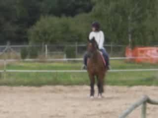 mon parcour d(obstacle