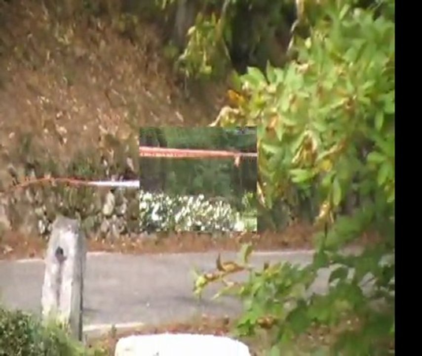 Rallye Des Camisards 2011