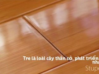 PINCTADALI - Response to climate change and sea level rise