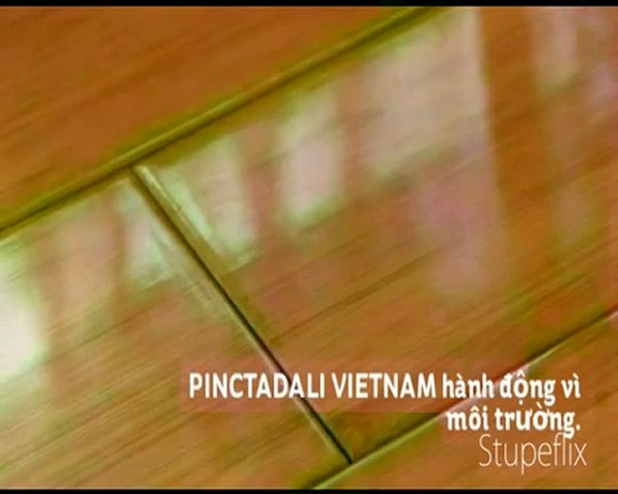 PINCTADALI - Save our planet