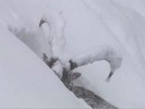 Survivre, Animaux des Alpes en hiver