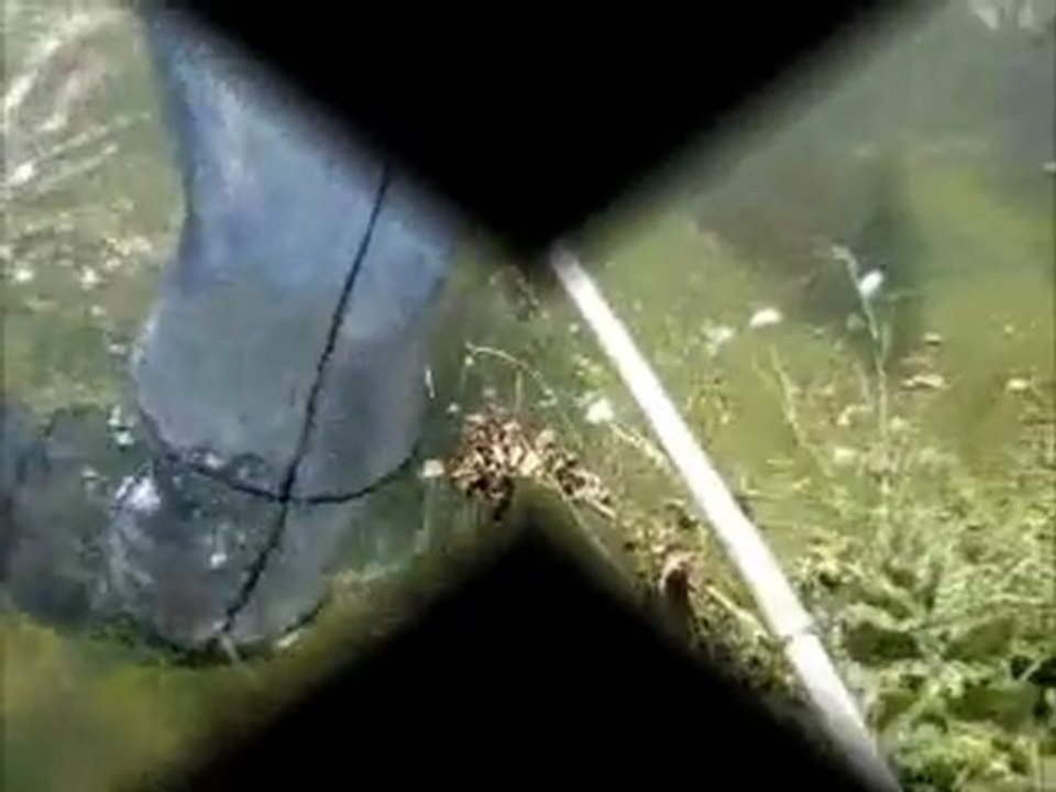 Pêche à la Breme