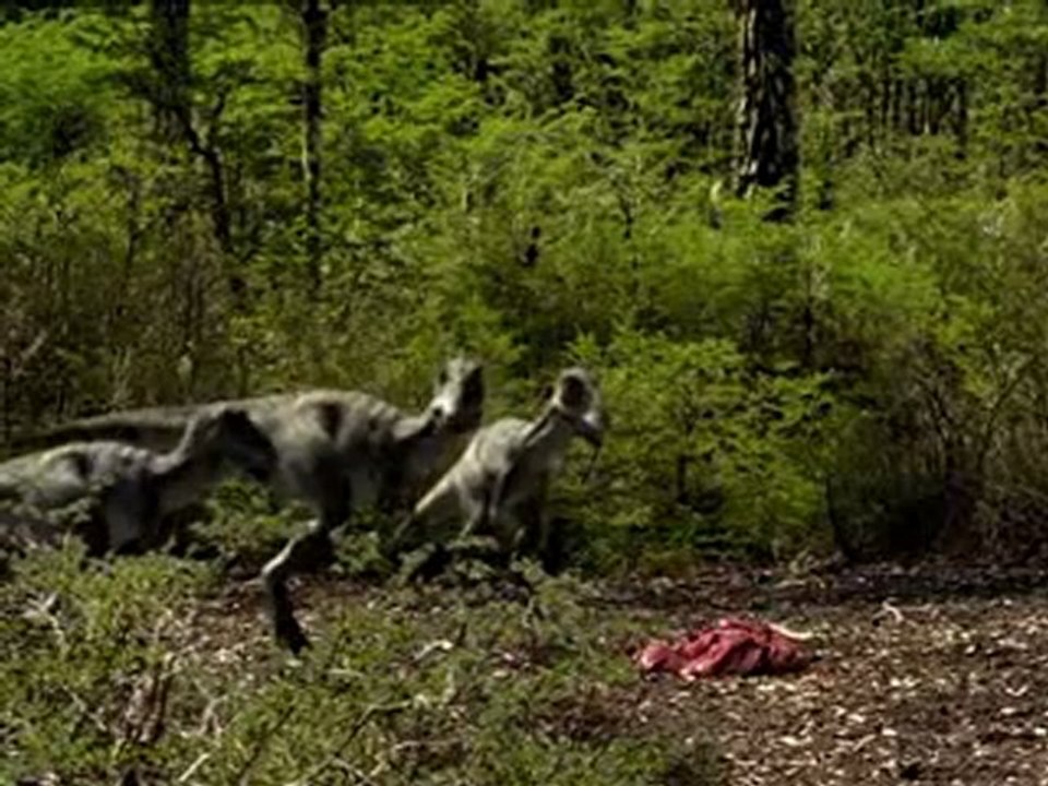 STD (Ep6) (Mort d'une dynastie) (2/2)