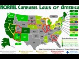 Start a Dispensary | Open a Dispensary | Legal Cannabis Business