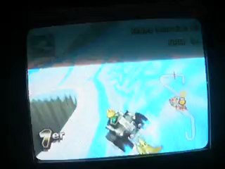 Mario Kart Wii:02/Coupe Fleur