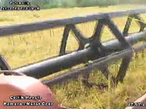 SUBAŞIDA ÇELTİK HASATI