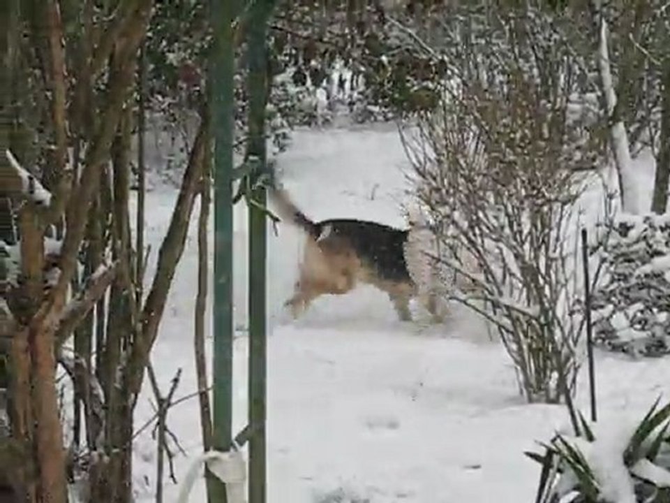 Course poursuite des loulous dans la neige - Janvier 2010.