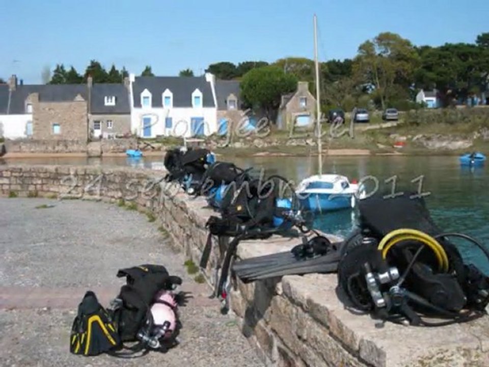 Mes plongées 2011