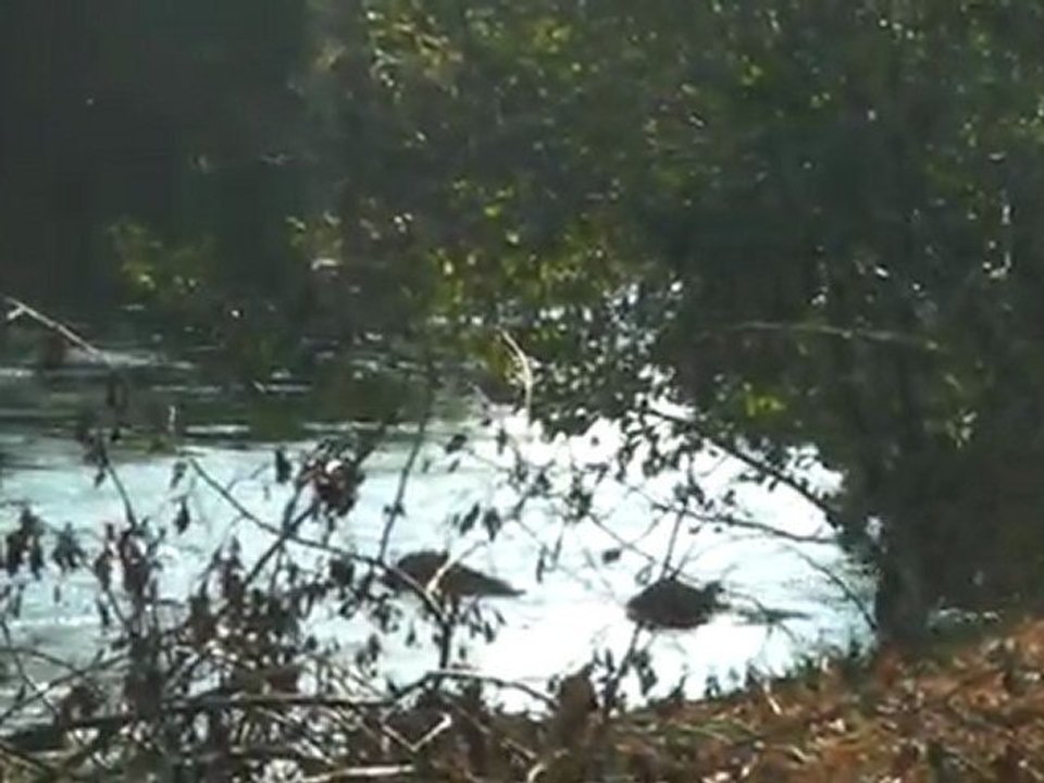 Cérémonie traversée de la moselle par les US à Noirgeux (Vidéo Reconstitution Partie 1/3)