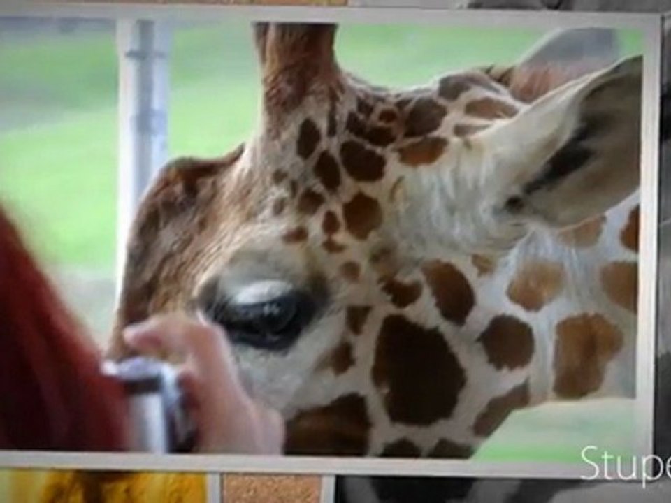 Academie de Musique /3970 EIGER / CLASSICAL MUSIC ON THE WEB USA ...  Durée : 00:00:12