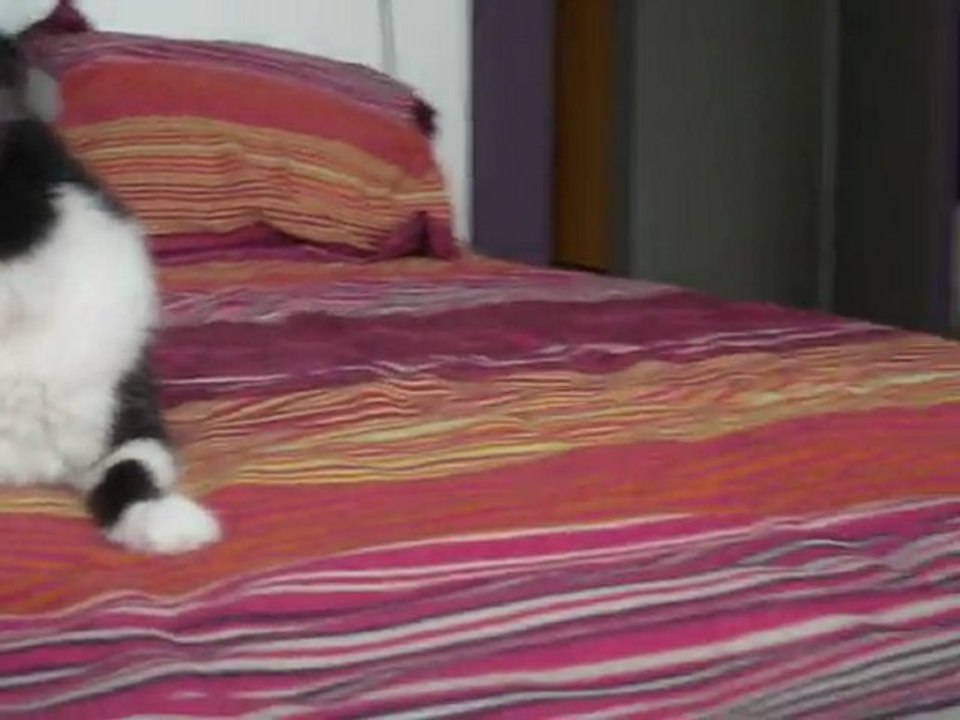 tete a tete sur le lit