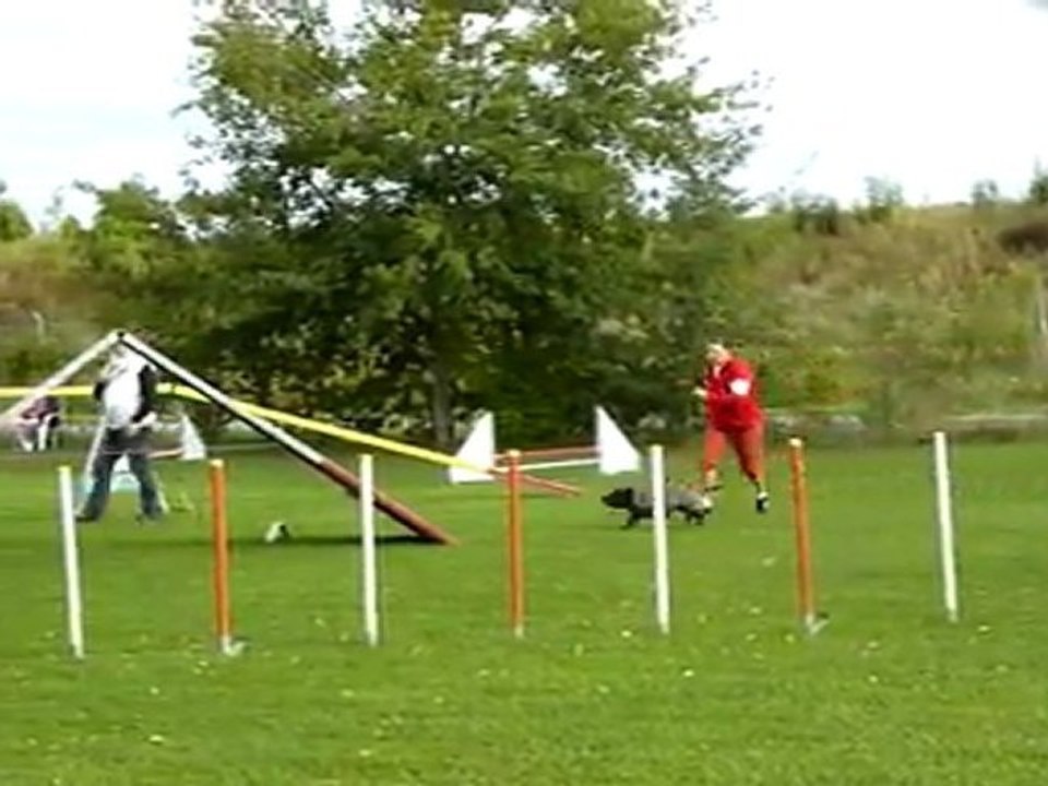 Concours de Bièvres le 17 septembre 2011 - Open