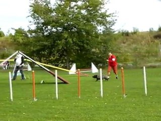 Concours de Bièvres le 17 septembre 2011 - Open