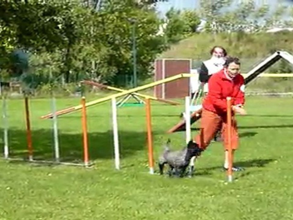 Concours de Bièvres le 17 septembre 2011 - 1er degré