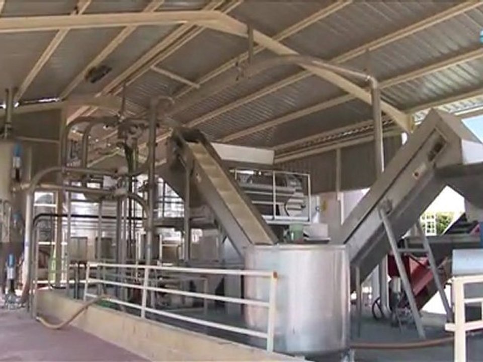 Bodegas Fontana