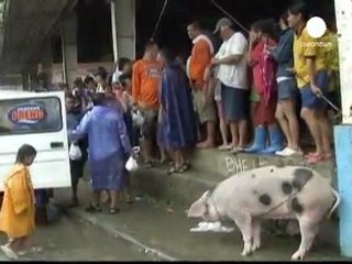 Les Philippines balayées par un typhon de catégorie 3
