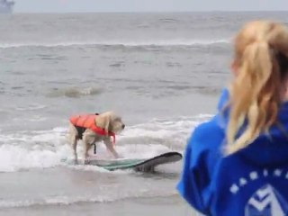 Surfistas de raza compiten en California