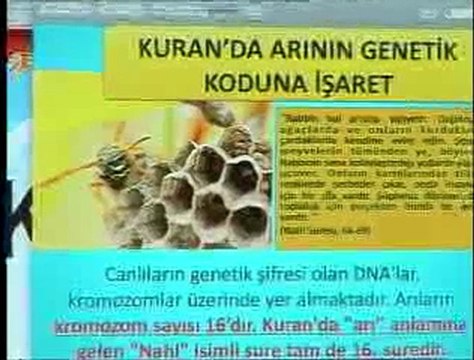 Kuran mucizeleri: Kuran'da arının genetik koduna işaret