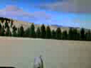 WolfQuest quelques vidéos