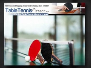 Indoor Ping Pong Table with Net