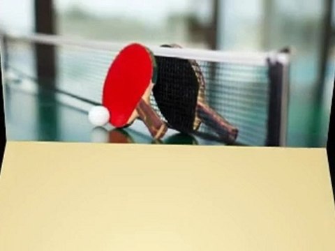 Midsized Ping Pong Table breaks down in to 2 Card Tables