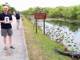 yeah... a gator in florida.. COULD be an emergency!