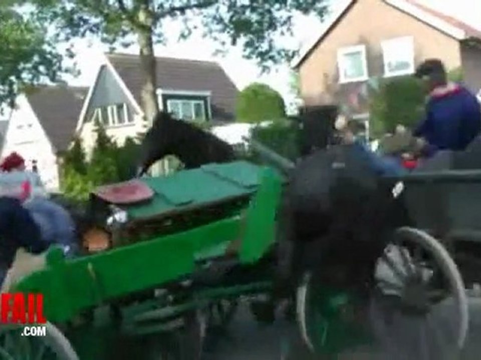 Horse Fail