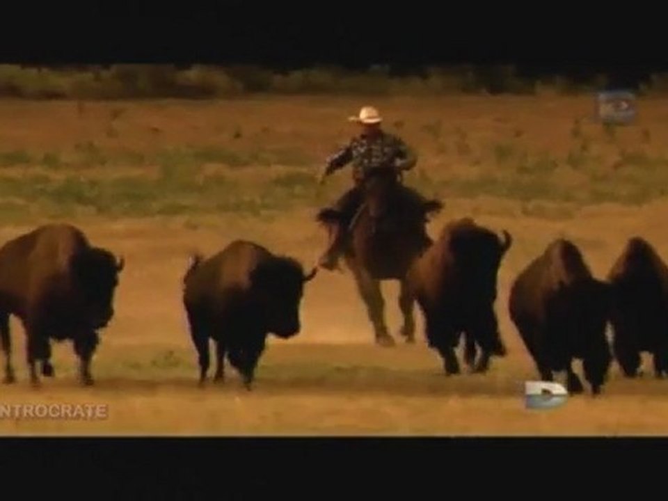 Passions Fatales, Petit taureau deviendra grand [Le Bison] - 2 de 3