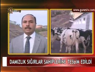 27.09.2011 ana haber