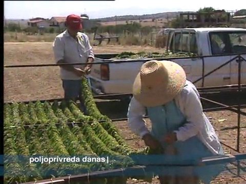 Poljoprivreda danas 28.09.2011.