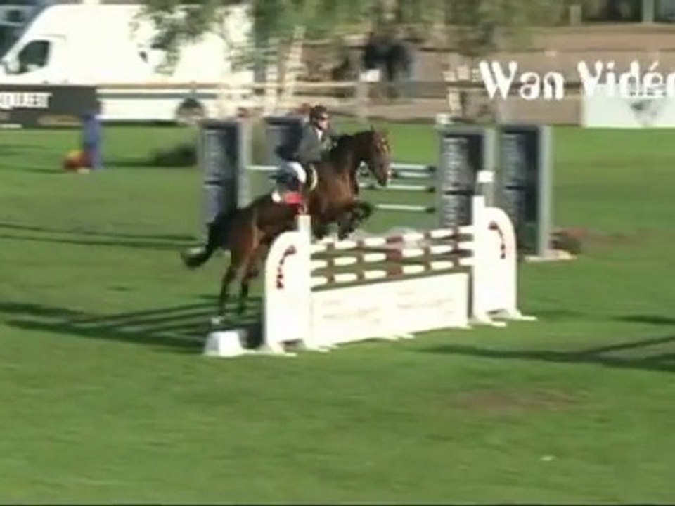 Pferd   Reiter 1-0 Fail