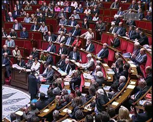 Réponse à une question du député GOLDBERG sur la sécurité