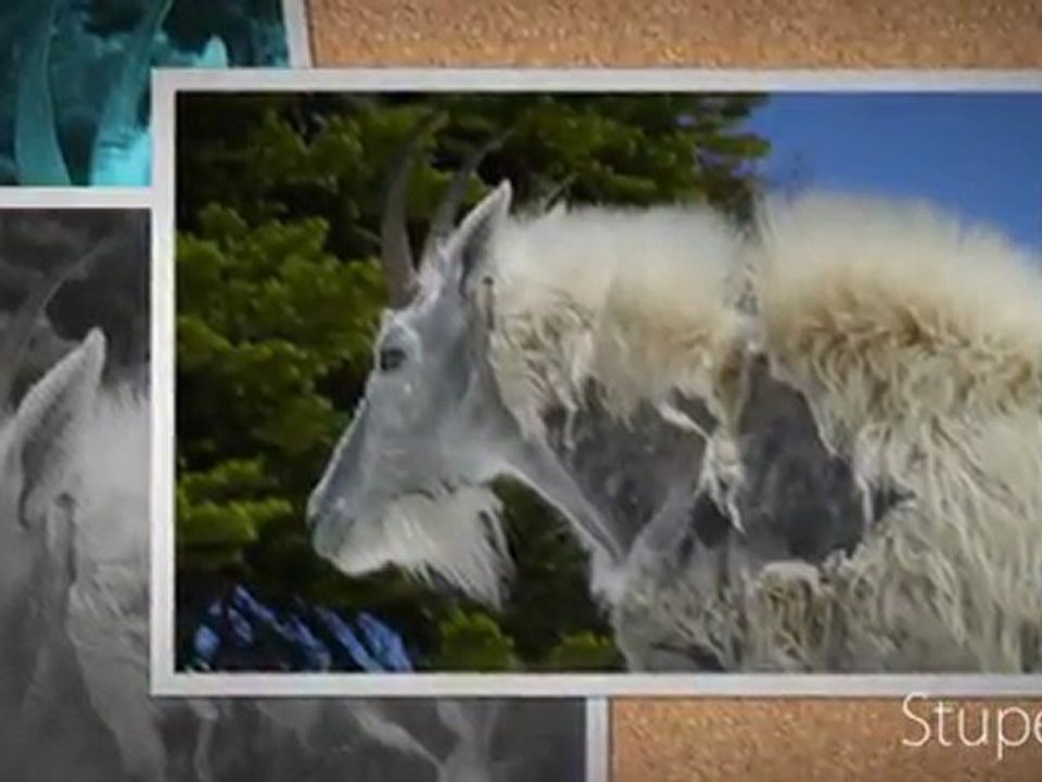 Academie de Musique / CLASSICAL MUSIC ON THE WEB USA / 7 SUPERCOPTER / DVD MUSIQUE CLASSIQUE