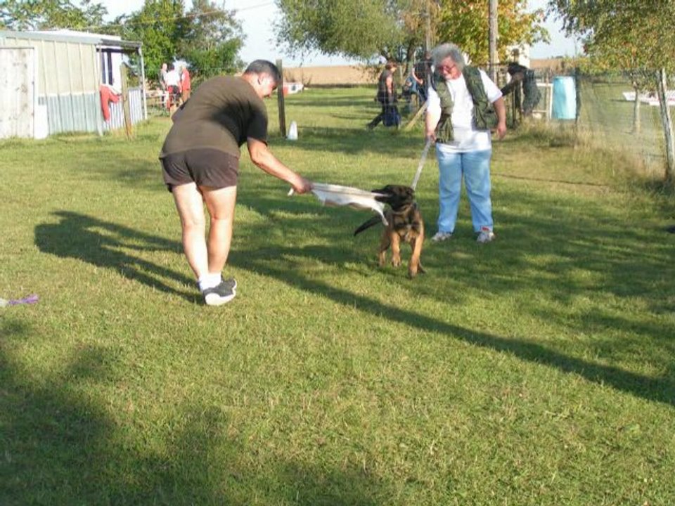 gyn_septembre2011