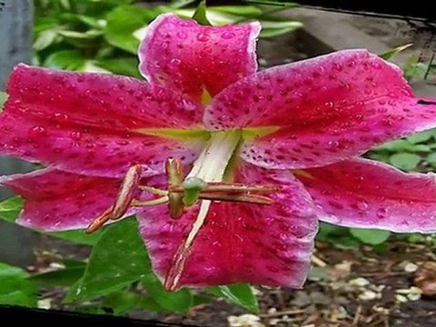 NINCS SENKI OLYAN SZÉP_ NINCS SENKI OLYAN JÓ