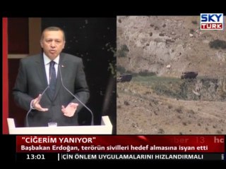 Erdoğan: "Ciğerim Yanıyor"