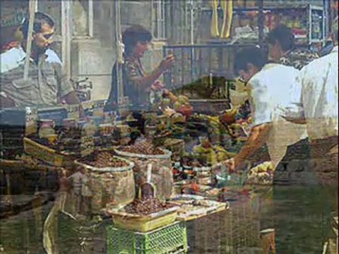 Voyager avec les Aînés Ruraux